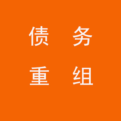 修水个人债务重组优化